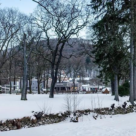 Bummelallee Schloesschen Апартаменты Бад-Гарцбург