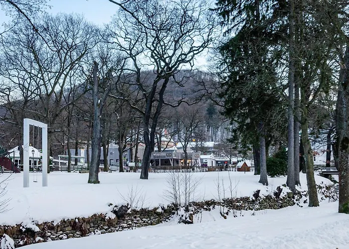 Bummelallee Schloesschen Апартаменты Бад-Гарцбург